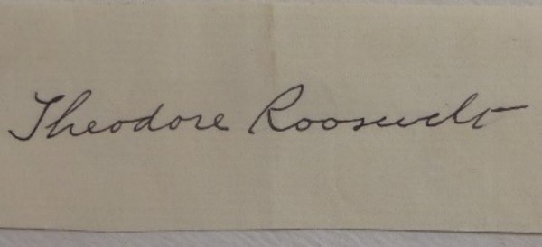 This white cut measures approximately 1.25x4.25" in size and is in EX condition.  It is hand-signed in what looks to be black fountain pen ink by one of history's greatest United States leaders, 26th President, Theodore Roosevelt.  Ideal for matting and framing, and valued well into the low thousands!