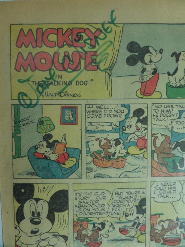 This full page of an original Walt Disney "Mickey Mouse" comic book is in EX overall condition.  It comes hand-signed in green felt tip marker by the legend himself, Walt Disney, grading an overall 6.5, and is valued well into the hundreds!