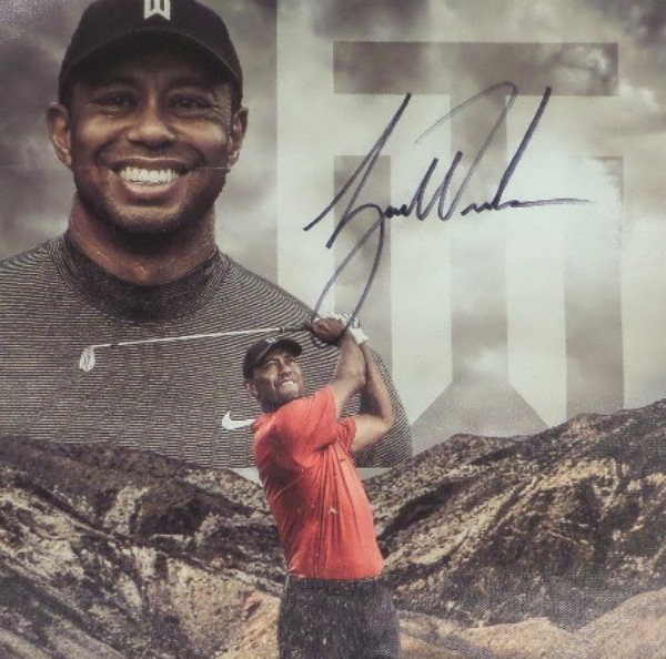 This real canvas work is large at 20x24, heavy material, and has lot of grey and brown colors shown. It shows the Golf MVP in 2 custom poses, comes black marker signed on a nice spot, and is clearly worth many times our asking price. It is a bold 10 all over, and a must frame certain future investment. 